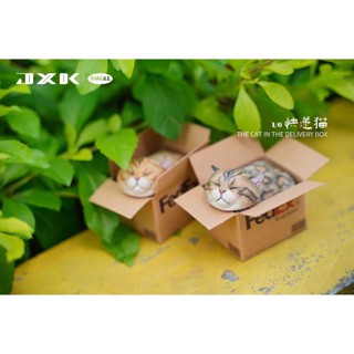 JXK small JS2213 1/6 : The Cat In The Delivery Box มี2แบบให้เลือก