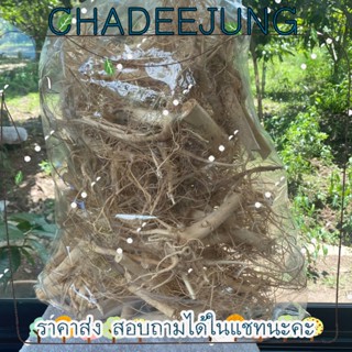 รากกันชาอบแห้ง ขนาด 500 กรัม ป้องกันโรคอ้วน [ChaDeeJung]