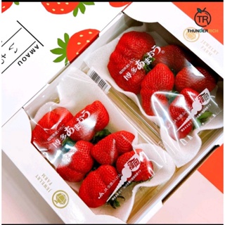 สตอเบอรี่​ญี่ปุ่น​ / Japanese Strawberry / สตรอเบอร์รี่ญี่ปุ่น 🍓💖