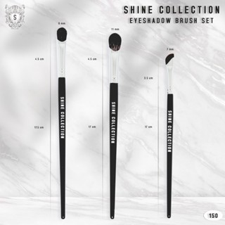 SHINE COLLECTION • Eyeshadow Brush Set // แปรงแต่งหน้า สำหรับลงสีอายแชโดว์ ชุด 3 ชิ้น