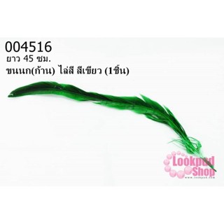 ขนนก(ก้าน) ไล่สี สีเขียว ยาว 45 ซม. (1ชิ้น)