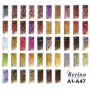 สีย้อมผม สีผมเบอริน่า Berina Hair Color A1-A47