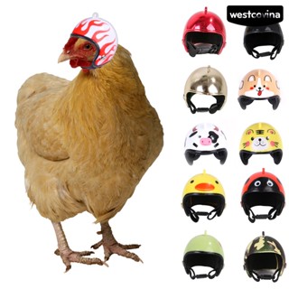 [ขายดี]♞หมวกกันน็อคนิรภัย ลายการ์ตูนไก่ สําหรับสัตว์เลี้ยง