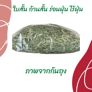 หญ้าทิมโมธีเกรดซุปเปอร์พรีเมี่ยม 400g /1kg ร่อนฝุ่น ดอกเยอะ หอม เขียว หญ้าทิโมธีพรีเมียม 🌱
