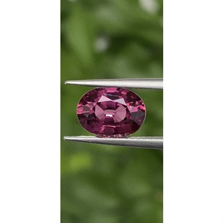 พลอย โรโดไลต์ กาเน็ท Rhodolite Garnet 2.72 กะรัต Cts.