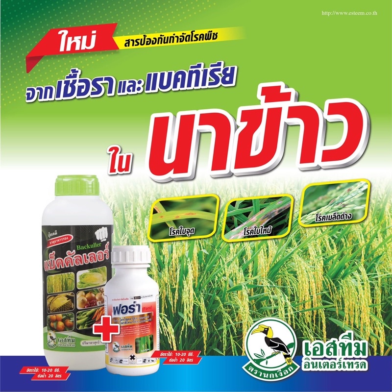 แบ็คคัลเลอร์ สารกำจัดโรคเชื้อราและแบคทีเรีย และเชื้อราในพืช(ทะเบียนปุ๋ย) 1 ลิตร - รูปที่ 4