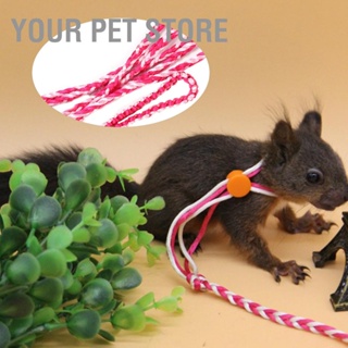 Your Pet Store สายจูงตะกั่ว ขนาดเล็ก สําหรับฝึกสัตว์เลี้ยง หนูแฮมสเตอร์ กระรอก