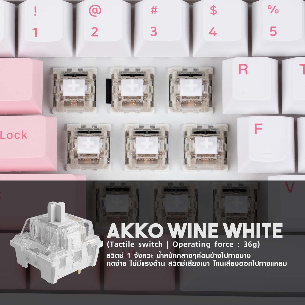 คีย์บอร์ด Akko 3108DS Prunus Lannesiana 108 ปุ่ม Full size Mechanical ...