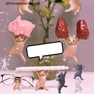 Shine ที่วางปากกา เครื่องเขียน รูปแมวน่ารัก สุ่มสี สําหรับนักเรียน TH