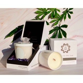 เทียนหอม Soy Wax Candle 250 Gram ; HAVANA Note : Cannabi s  Sativa / Wild Saffron / sweet basil / Vetiver