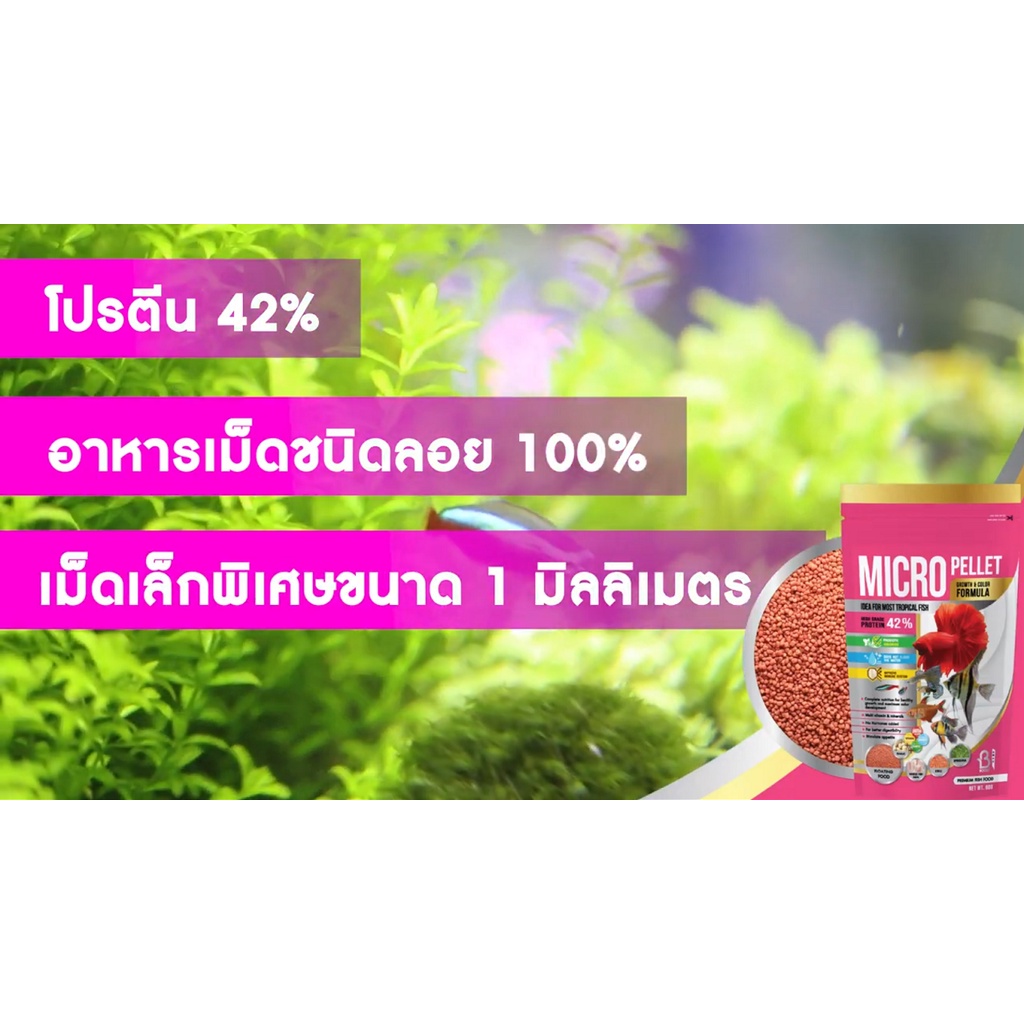 BOOST MICRO PELLETGROWTH&COLOR 60 g.(อาหารสำหรับปลาขนาดเล็ก สูตรเร่งโต และเร่งสี) - รูปที่ 5