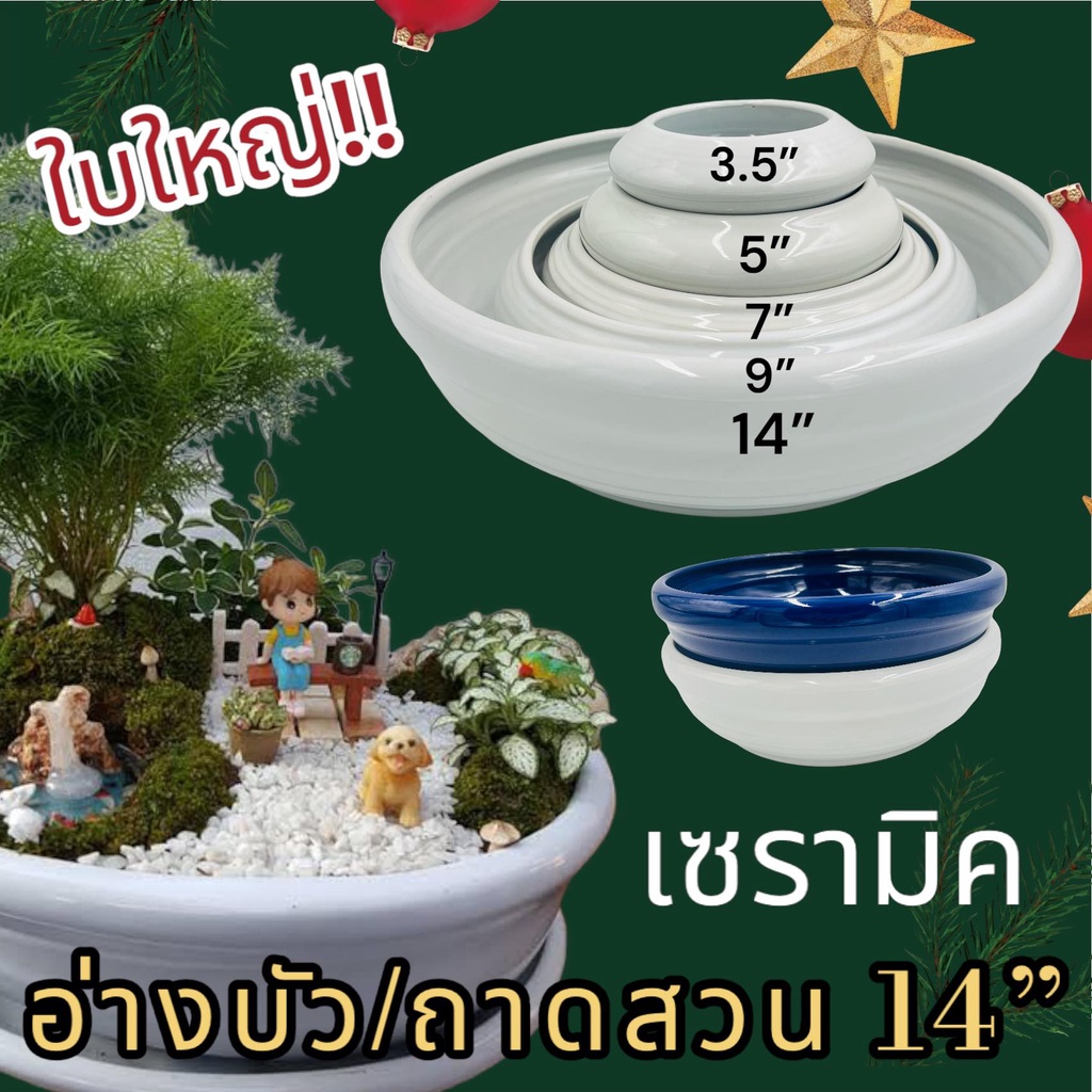 🌺[14นิ้ว]🌺 กระถางต้นไม้ อ่างบัว อ่างเซรามิค เซรามิค อ่างใส่น้ำ กระถาง สวนถาด 1ใบ