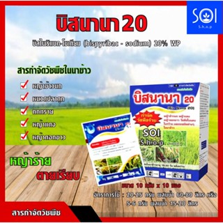 บิสนานา20 ชื่อสามัญ บิสไพริแบก-โซเดียม สารกำจัดวัชพืชใบแคบในนาข้าว หญ้าข้าวนก หญ้าแดง กกทราย (10ซอง+สารจับใบ)