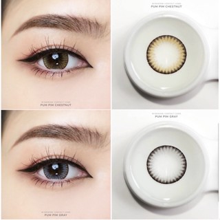 คอนแทคเลนส์ wink lens pumpimขนาดตาโต