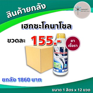 ยกลัง 12 ขวด เฮกซะฉลาม 💥  แบ็ทเทอร์ มาร์ติน ขนาด 1 ลิตร 💥 เฮกซะโคนาโซล โรคใบไหม้ โรคกาบใบแห้ง โรคเมล็ดด่าง