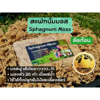 สแฟกนั่มมอส Sphagnum Moss อัดก้อน 8,12 ลิตร (100,150g.โดยประมาณ)  Premium Quality "ฟูสวย เส้นยาว อุ้มน้ำดีเยี่ยม"