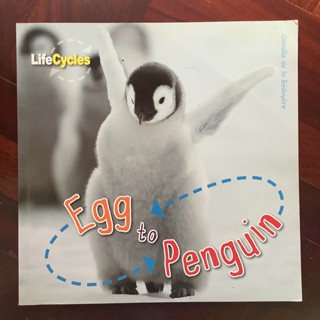 หนังสือชุด LifeCycles เรื่อง From Eggs to Penguin