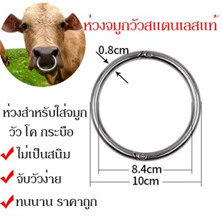 ห่วงจมูกวัว ห่วงจมูกวัวสแตนเลสแท้ ขนาด10ซม ห่วงสำหรับใส่จมูกวัววัว โค กระบือ อย่างหนา ไม่เป็นสนิม ทนนาน จับวัวง่าย