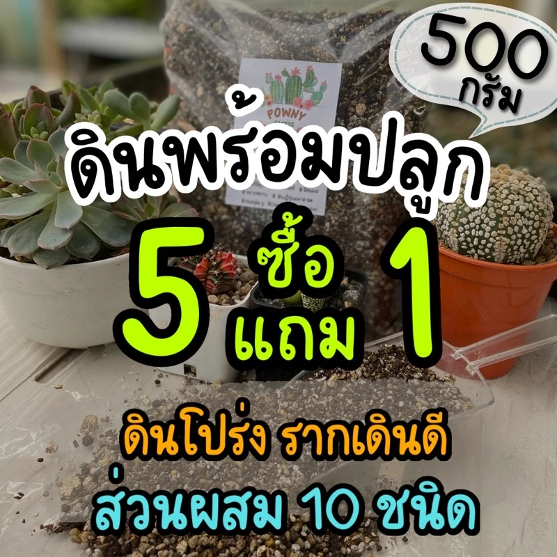 ดินปลูกแคคตัส ดินผสมพร้อมปลูก  ดินปลูกบอนสี ไม้ด่าง ไม้ฟอกอากาศ กระบองเพชร ดินปลูกไม้อวบน้ำ cactus