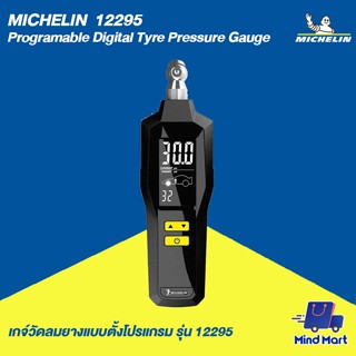 MICHELIN เกจ์วัดลมยางแบบตั้งโปรแกรม รุ่น 12295