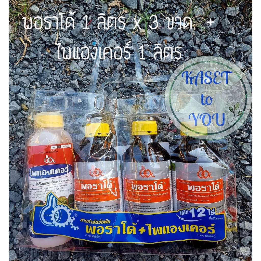 พอราโด้ + ไพแองเคอร์ ชุด 12 ไร่ โคลมาโซน+โพรพานิล+ไพริเบนซอกซิม คุม-ฆ่าวัชพืชใบแคบ ใบกว้าง ตระกูลกก หญ้าดอกขาวดื้อยา