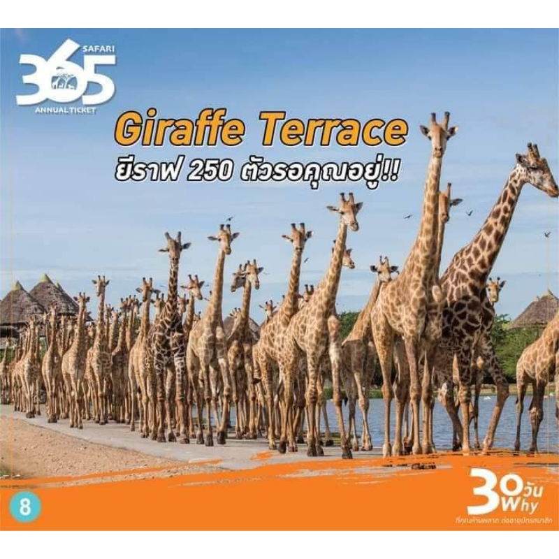 บัตร VIP  SAFARI WORLD(ซาฟารี เวิลด์) ราคาพิเศษ บัตร VIP