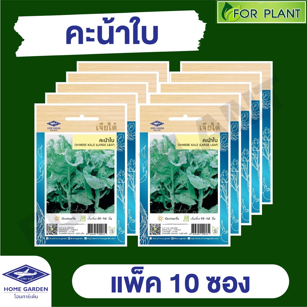 ขายส่ง เมล็ดพันธุ์ ผักซอง ยกแพค เจียไต๋ ราคาถูก บรรจุแพ็คละ 10 ซอง  CT15 {คละชนิดได้ กดใส่ตะกล้าไว้ก่อนยืนยันสั่งซื้้อ)