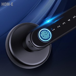 Hom-E Door Smart Fingerprint Lock Metal Key Password Multi Functional Intelligent for Office Bedroom Black