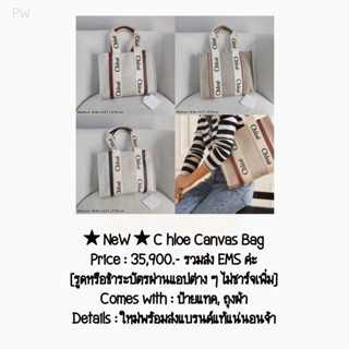 ★ NeW ★ C hloe Canvas Bag