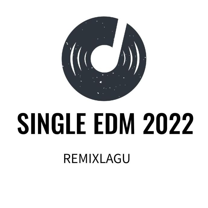 Single Edm 2022 - การผสม สําหรับ Dj เท่านั้น