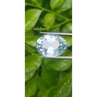 พลอย อความารีน Aquamarine 海蓝宝石 14.48 กะรัต (Cts.克拉)