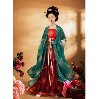 ชุดจีนโบราณสมัยราชวงศ์ถัง ปักและพิมพ์ลายสวยงาม พริ้วสวยจ้า HF146