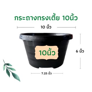 กระถางทรงเตี้ย 10 นิ้ว กระถางกลม เพาะเมล็ด กระถางค่อม สีดำเงา