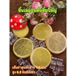 #เลมอนปลอม#โมเดลเลมอน เลมอนหั่นชิ้นใหญ่ (ราคา1 ชิ้น)