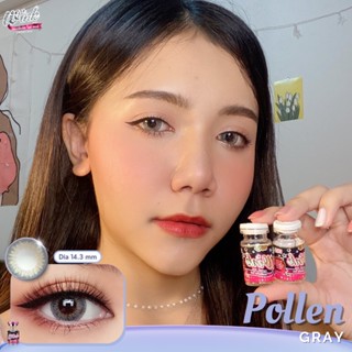 ร้านเลนส์สวย คอนแทคWink รุ่น Pollen สี Gray เทา 🔥มีค่าสายตา นำเข้าจากเกาหลี มี อย.ไทยของแท้100%(ลายสุดHit ขายดี)