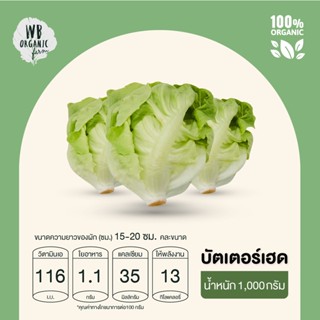 WB Organic Farm บัตเตอร์เฮด ผักสลัด ผักสด มาตรฐานออร์แกนิค IFOAM ปลอดสารพิษ 100% (1000 กรัม)