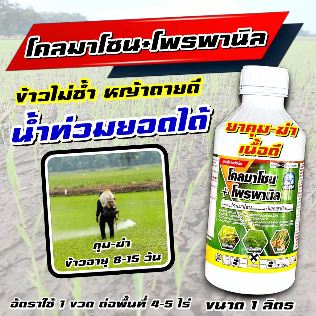 โคลมาโซน + โพรพานิล ฉลาม 1ลิตร🛑  ยาคุมฆ่า ในนาข้าว ยาเก็บหญ้า กำจัดวัชพืช ในนาข้าว หญ้าข้าวนก หญ้าดอ