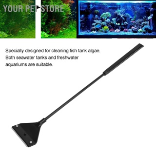 Your Pet Store Aquarium Algae Scraper Remover Long Handle Cleaning Brush Removal Tool for Artifact Fish Tank