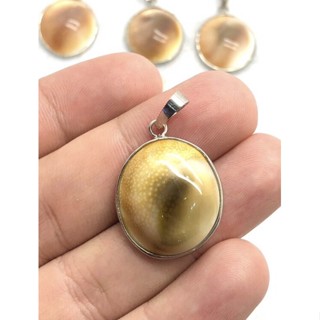 Natural shell pendant jewelry for men and women home daily use pendant for everyone natural she’ll pendant With Chain.