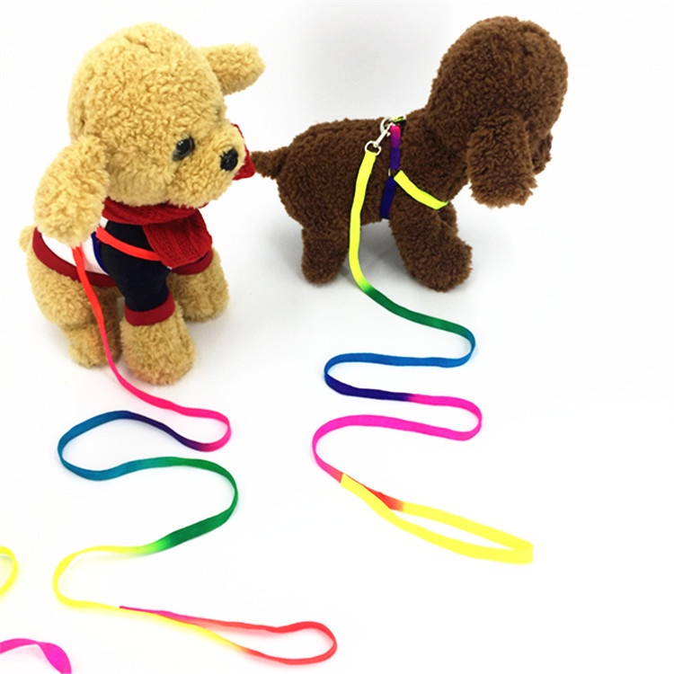 PEKO PET&CAT สายจูงสัตว์เลี้ยง สีรุ้งแบบหนา รูปที่ 7