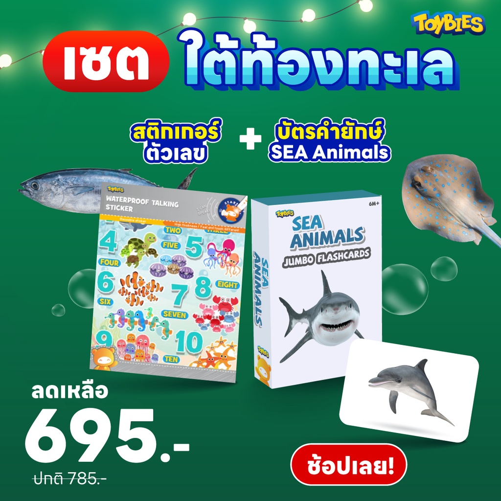 Toybies บัตรคำยักษ์+สติ๊กเกอร์กันน้ำ (ชุดของขวัญ)