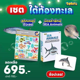 Toybies บัตรคำยักษ์+สติ๊กเกอร์กันน้ำ (ชุดของขวัญ)