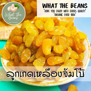ลูกเกดเหลืองทองจัมโบ้ 500g นำเข้าล็อตใหม่ล่าสุด สีเหลืองทองสวยมาก อมเปรี้ยวอมหวาน อร่อย มีประโยชน์ What The Beans