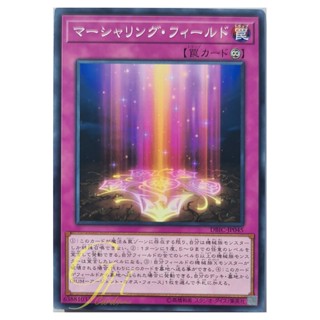 [DBIC-JP045] Marshalling Field (Common)