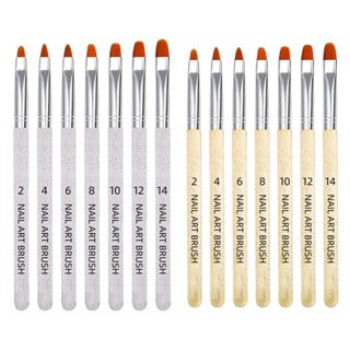 14Pcs Nail Art Brush Fine Nail Brush Nail Art Liner Brushes Nail Art Painting Kit Nail Design Brushes Nail Painting Brush
