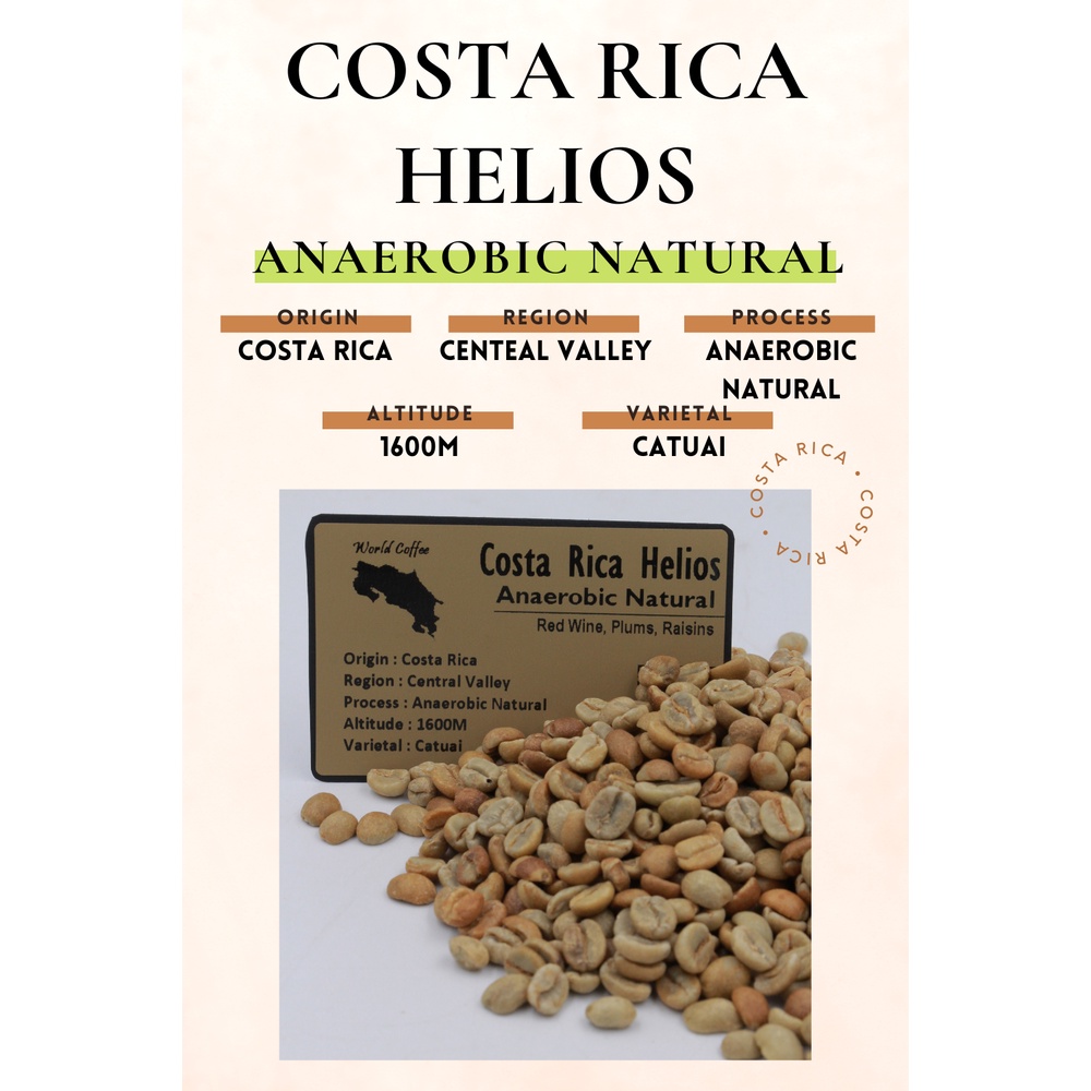 พร้อมส่ง เมล็ดกาแฟดิบ Costa Rica Helios Anaerobic Natural Process/ เมล็ดกาแฟนอก/ เมล็ดกาแฟสารคอสตาริกา