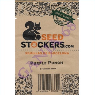 Purple Punch - Seed Stockers