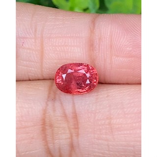 พลอย ซองเจีย ส้มอมชมพู (Pinkish Orange Sapphire) 2.31 กะรัต (Cts.) พลอยแท้ อัญมณีมงคลประจําวันเกิด เครื่องประดับพลอย