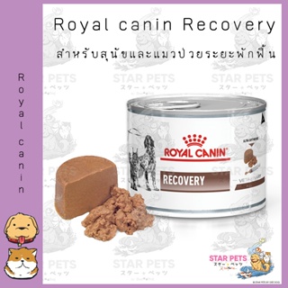 Royal Canin Recovery Can อาหารเปียกสำหรับสุนัข-แมวป่วยหลังผ่าตัด