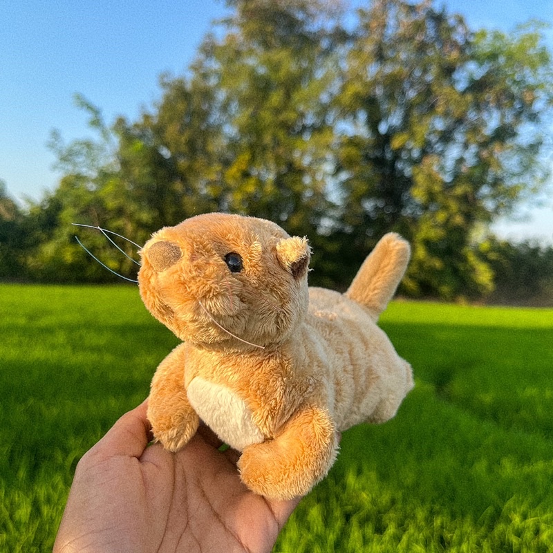 ตุ๊กตานาก นาก Otter Crawling Otter ตุ๊กตาสัตว์เหมือน European Otter, Eurasian otter  นากน่ารัก River